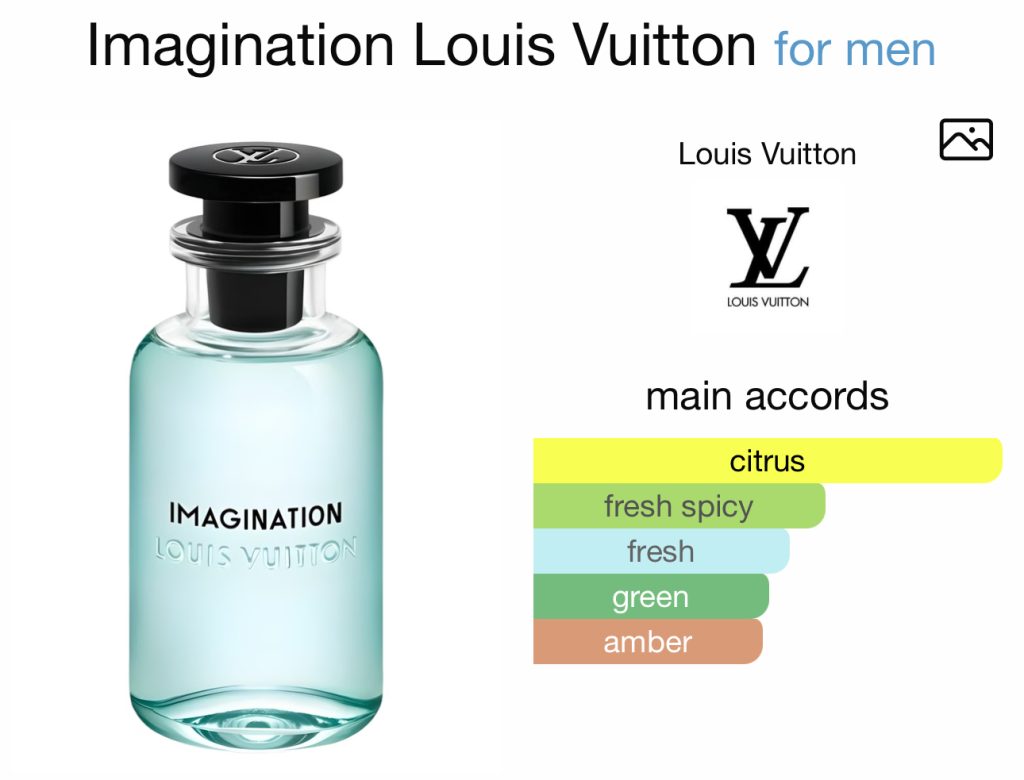 Imagination