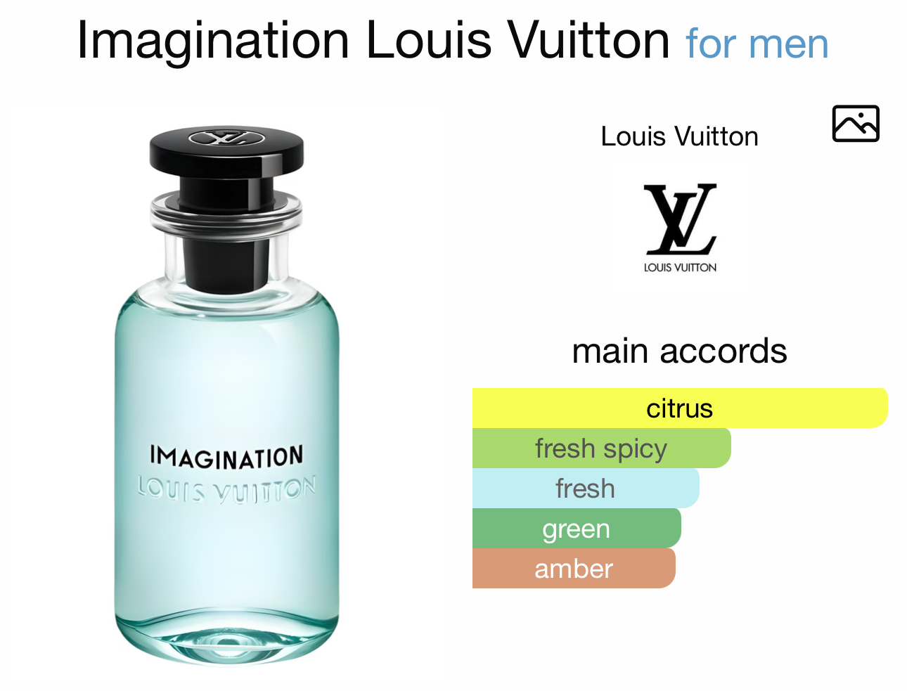 Imagination